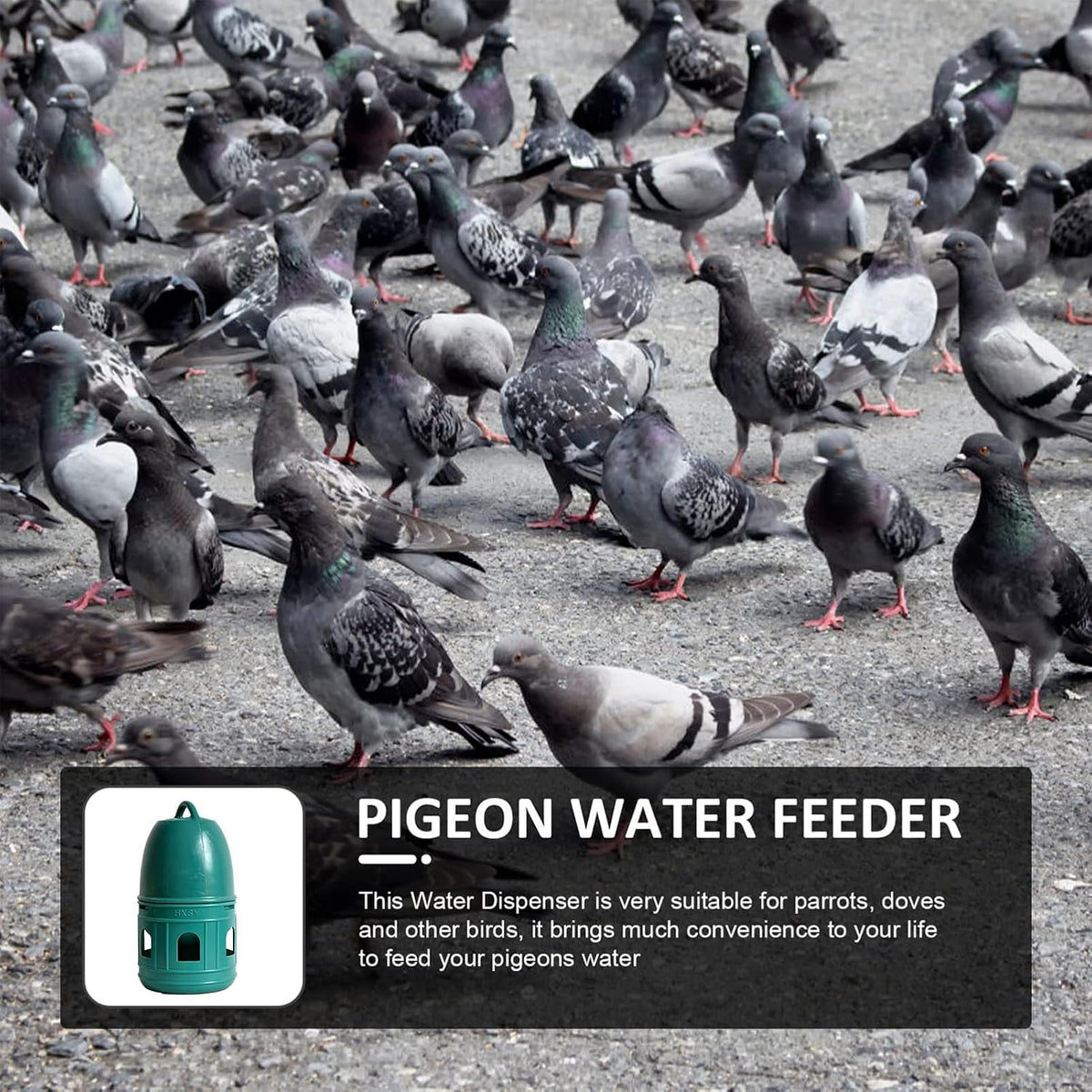 Pigeon Water Feeder Large Capacity Wide Opening Top Handle Pet Supplies