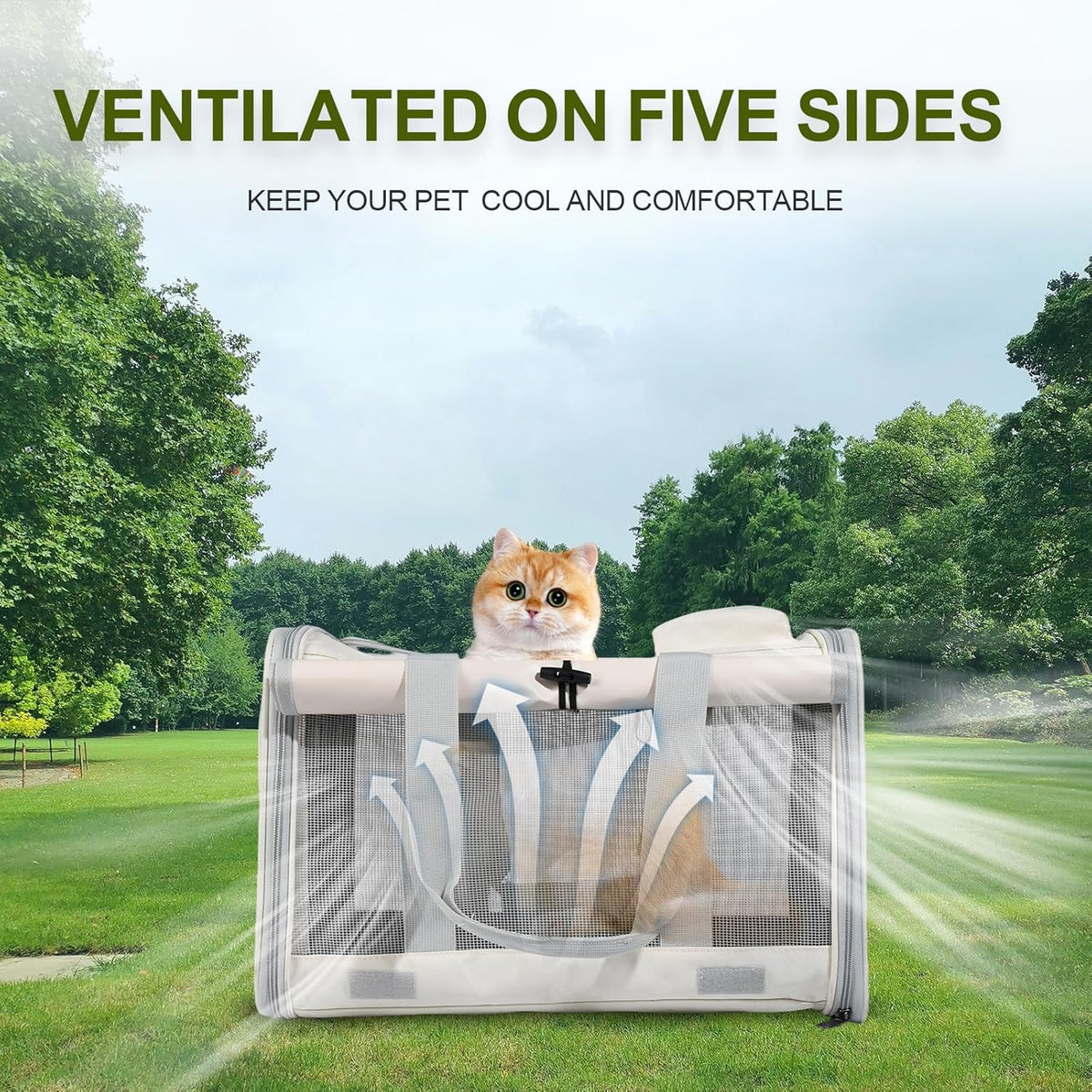 Le city Cat Carrier and Dog Carrier is Designed for Pets Weighing up to 16 lbs.Soft-Sided,Durable and Collapsible Travel Carrier,Breathable Mesh for Ventilation,Adjustable Shoulder Strap for Comfort - PuriLite