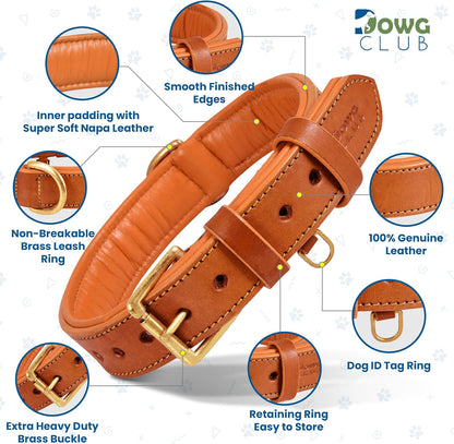 DowgClub | Genuine Leather Dog Collar | Full Grain, Heavy Duty | Comfortable, Strong | Best for Pups, Small, Medium & Large Breeds | Pink, Brown, Black, Tan - PuriLite