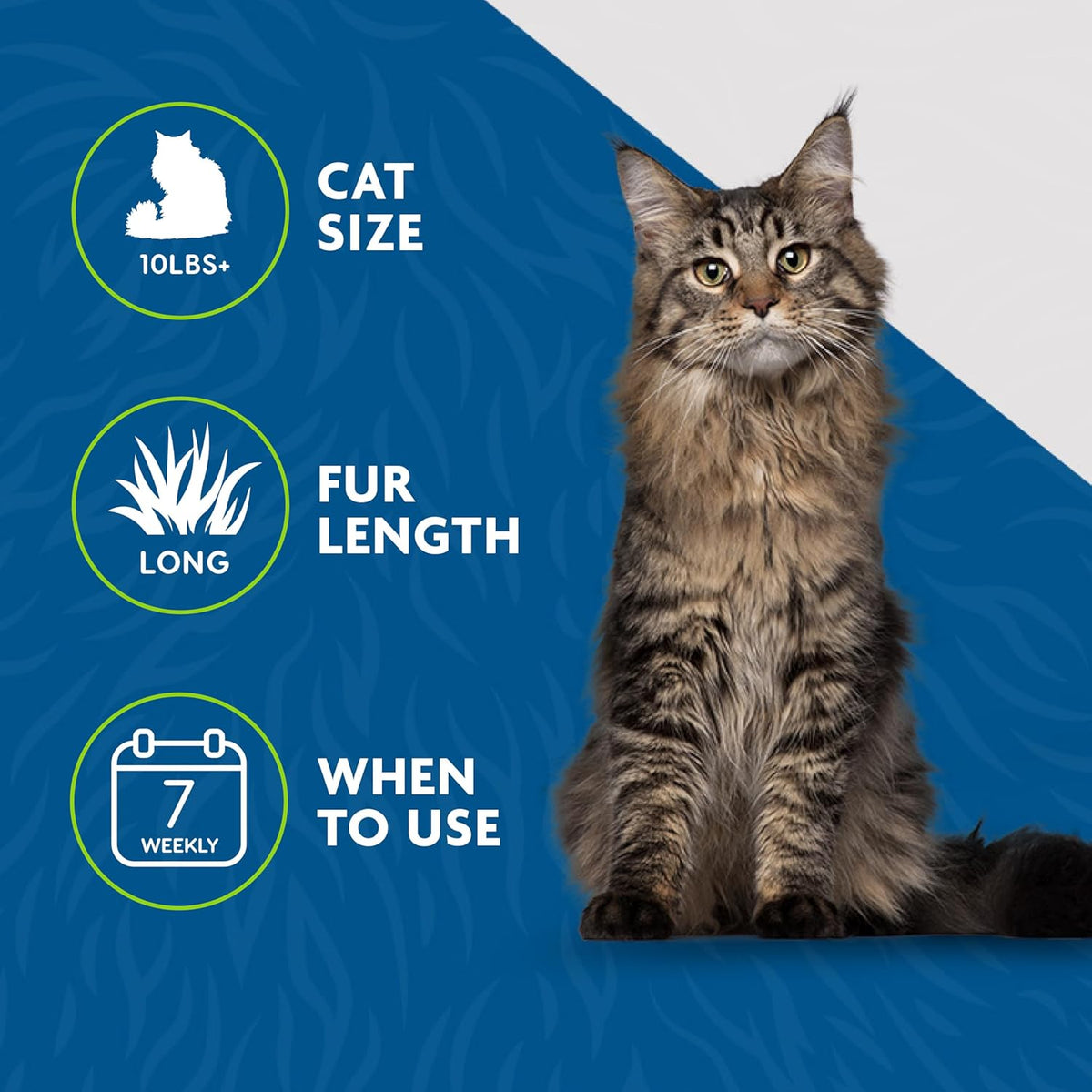 FURminator Short Hair deShedding Tool For Cats (Small) - PuriLite