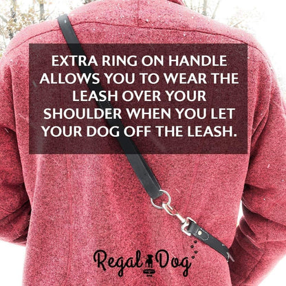 Regal Dog Products Small Orange Waterproof Dog Collar and Leash Set - Vinyl Coated, Biothane Puppy Pet Training Collar with Heavy Duty Center Ring & 5'ft Leash - Other Sizes for Medium & Large Dogs - PuriLite
