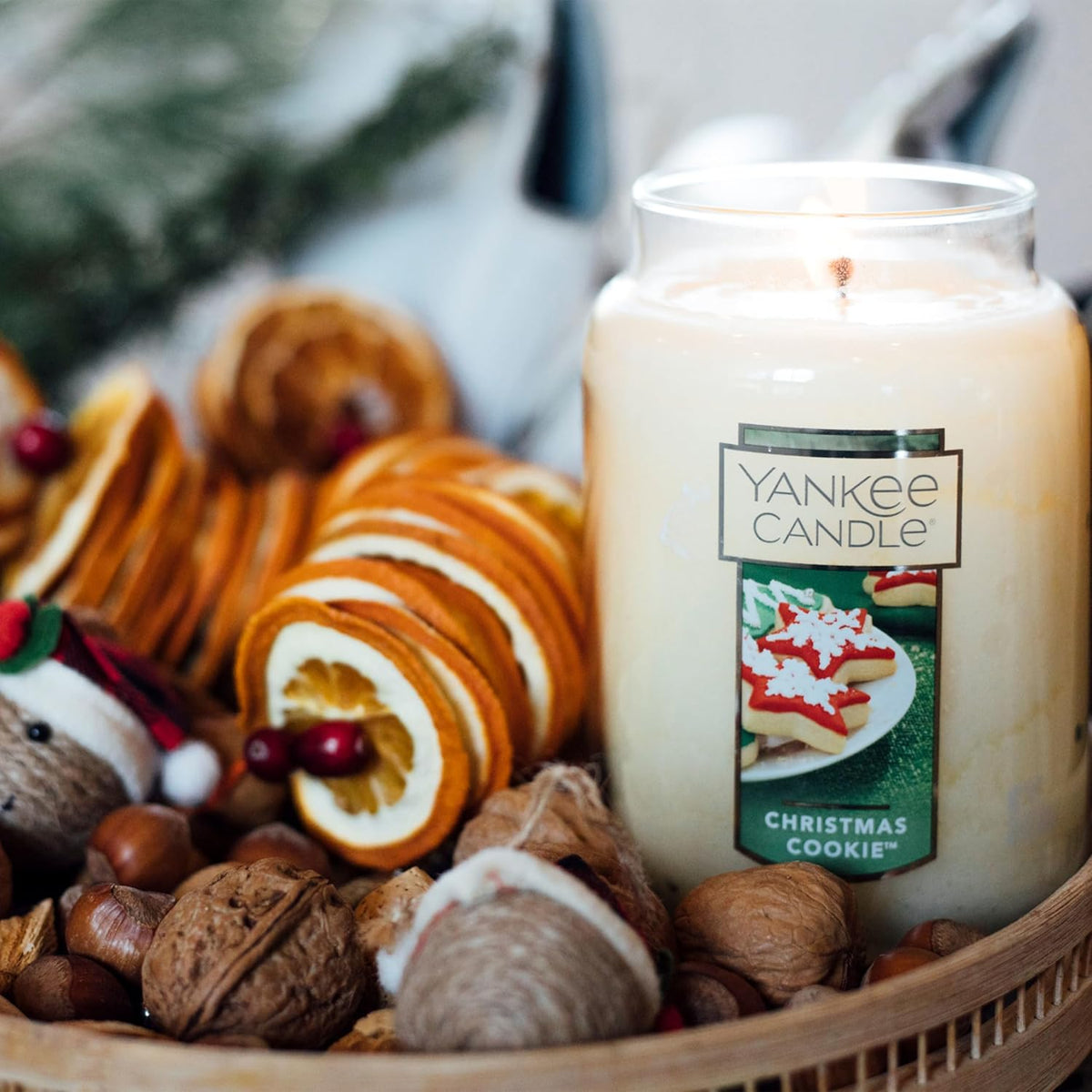 Yankee Candle Scented Candle, Sage & Citrus, Original Large Jar Candle, 110-150 Hours of Burn Time, 22 oz. - PuriLite