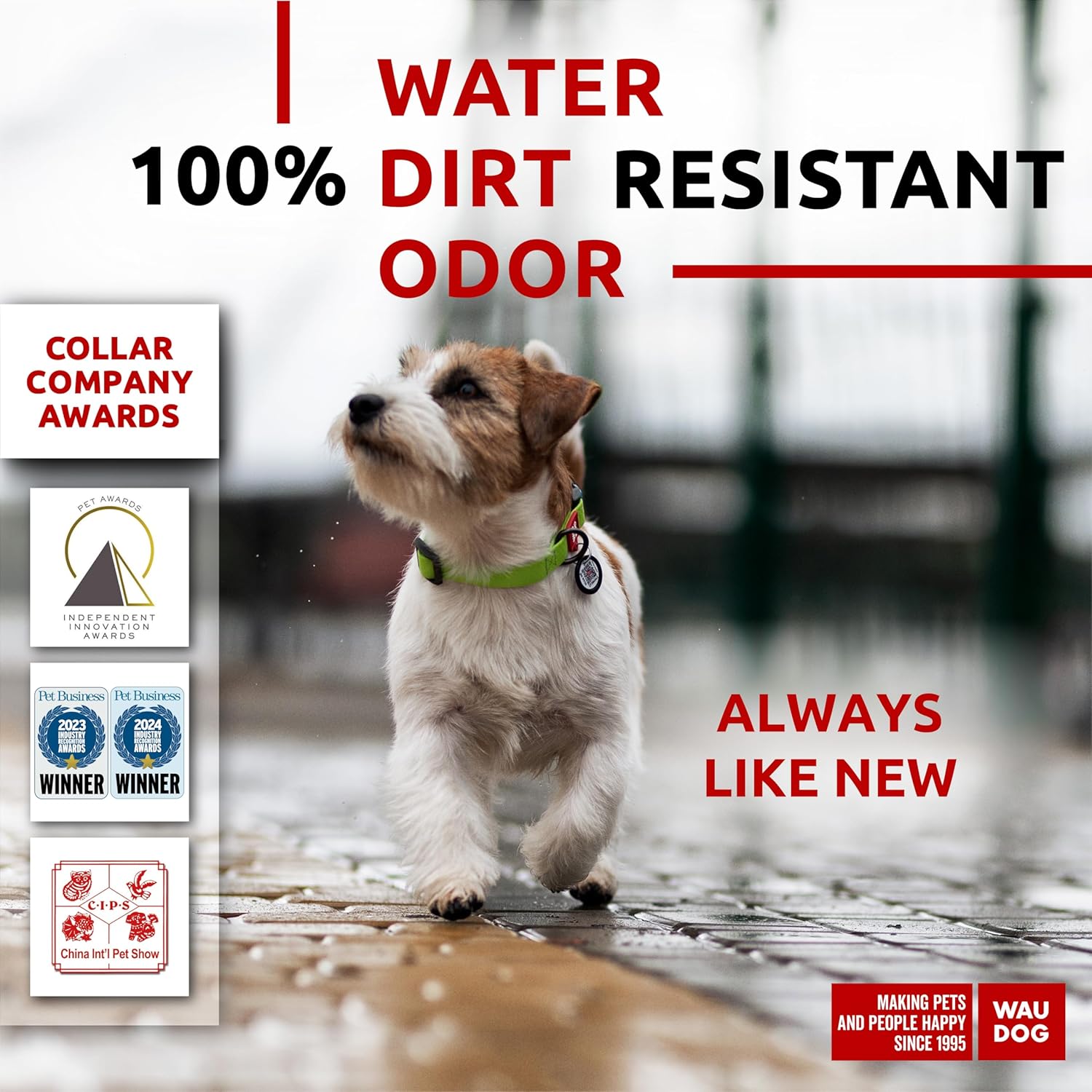 Waterproof Dog Collar - Adjustable Glow Dog Collar for Large Dogs, Small and Medium Dogs - Heavy Duty Dog Collars with Durable Metal Clasp and QR Dog Tag - Glow in The Dark Dog Collars - PuriLite