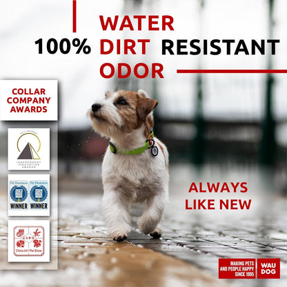 Waterproof Dog Collar - Adjustable Glow Dog Collar for Large Dogs, Small and Medium Dogs - Heavy Duty Dog Collars with Durable Metal Clasp and QR Dog Tag - Glow in The Dark Dog Collars - PuriLite