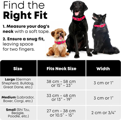 Regal Dog Products Medium Black Waterproof Dog Collar with Gold Buckle, Resilient and Durable Materials, Comfortable Design - for Small, Medium, and Large Breed Dogs - PuriLite