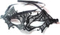 Reuglobal Masquerade Lace Eye Mask for Party - PuriLite