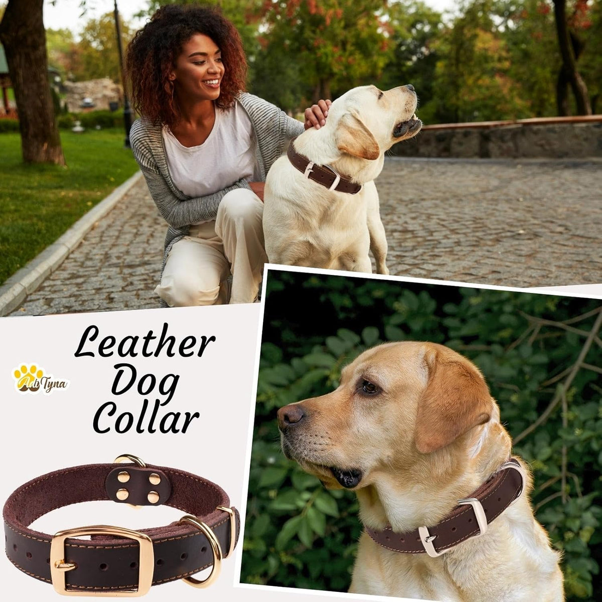 ADITYNA Heavy-Duty Leather Dog Collar for Medium Dogs - Soft and Strong, 100% Genuine Leather - Collier Pour Chien (Medium: Fit 13" - 20" Neck, Brown) - PuriLite