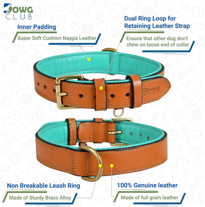 DowgClub | Genuine Leather Dog Collar | Full Grain, Heavy Duty | Comfortable, Strong | Best for Pups, Small, Medium & Large Breeds | Pink, Brown, Black, Tan - PuriLite