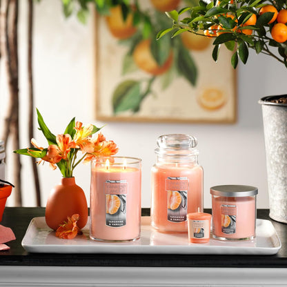 Yankee Candle Scented Candle, Sage & Citrus, Original Large Jar Candle, 110-150 Hours of Burn Time, 22 oz. - PuriLite