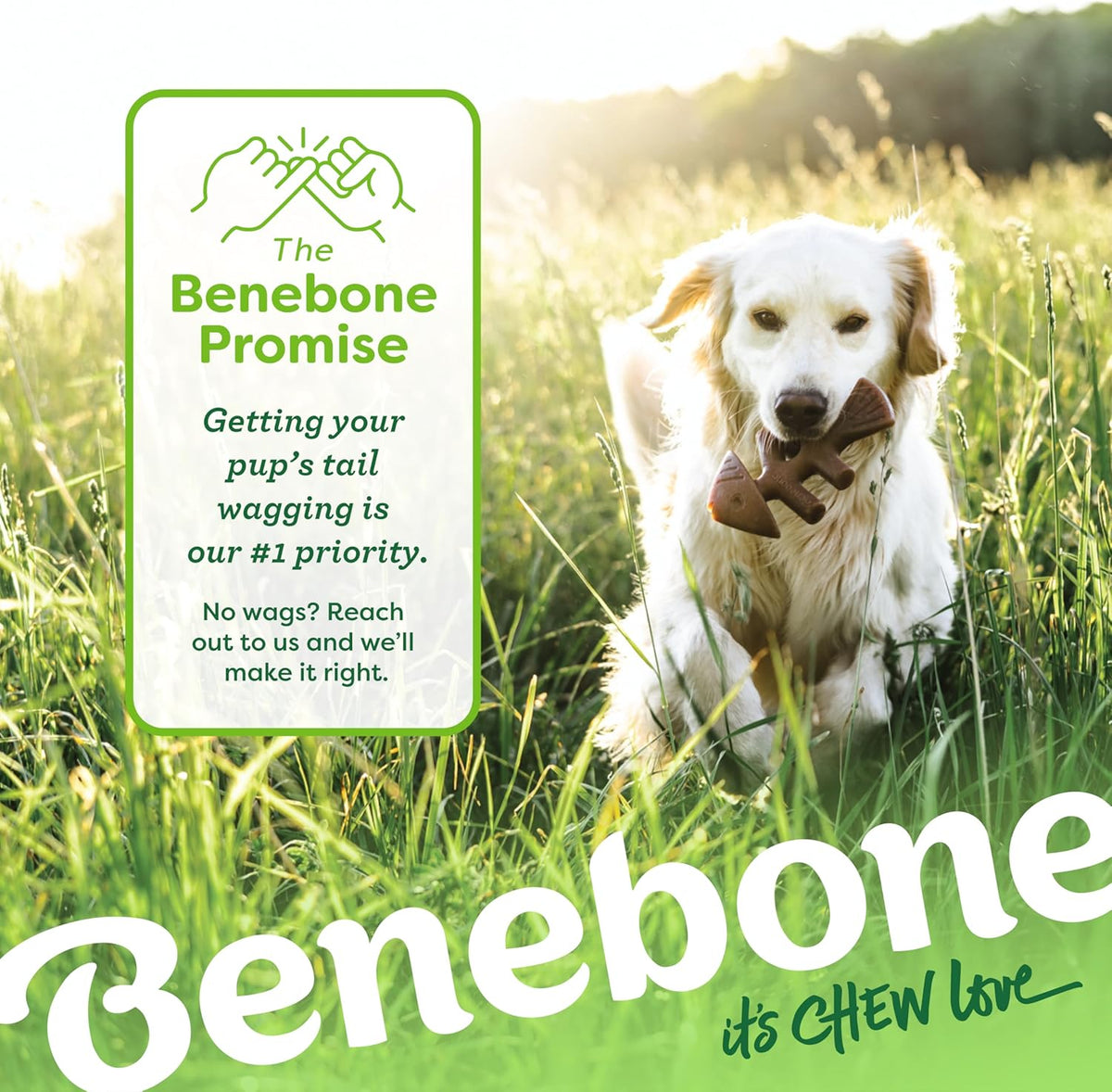 Benebone 4-Pack Durable Dog Chew Toys for Aggressive Chewers, Real Flavors, Made in USA, Medium - PuriLite