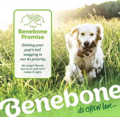 Benebone 4-Pack Durable Dog Chew Toys for Aggressive Chewers, Real Flavors, Made in USA, Medium - PuriLite