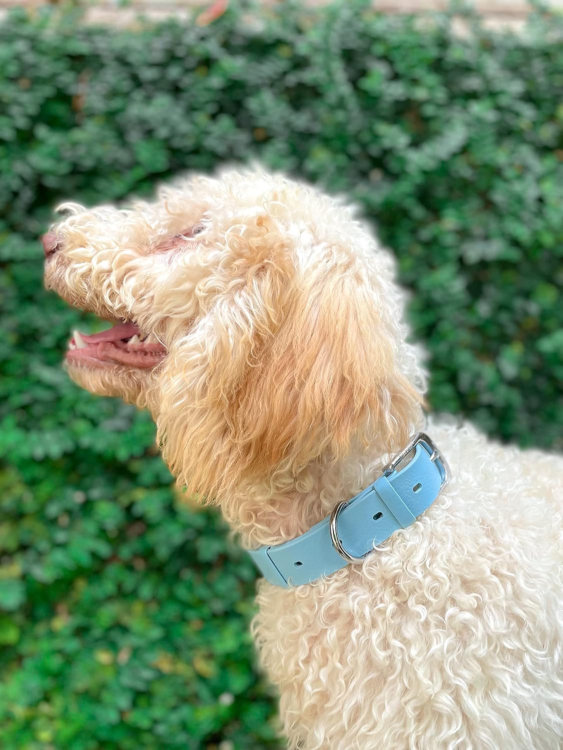 Tuff Pupper Classic Heavy Duty Dog Collar | 10x Stronger Than Leather | 100% Waterproof & Odor Proof Dog Collar | Tough Rust-Proof All Metal Hardware - PuriLite