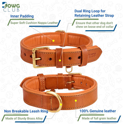 DowgClub | Genuine Leather Dog Collar | Full Grain, Heavy Duty | Comfortable, Strong | Best for Pups, Small, Medium & Large Breeds | Pink, Brown, Black, Tan - PuriLite