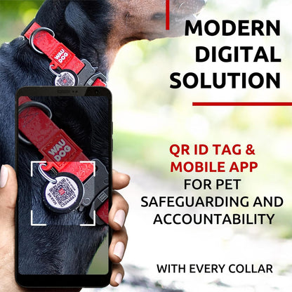 Waterproof Dog Collar - Adjustable Glow Dog Collar for Large Dogs, Small and Medium Dogs - Heavy Duty Dog Collars with Durable Metal Clasp and QR Dog Tag - Glow in The Dark Dog Collars - PuriLite