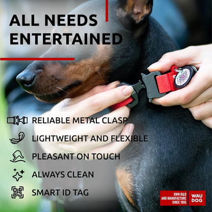 Waterproof Dog Collar - Adjustable Glow Dog Collar for Large Dogs, Small and Medium Dogs - Heavy Duty Dog Collars with Durable Metal Clasp and QR Dog Tag - Glow in The Dark Dog Collars - PuriLite