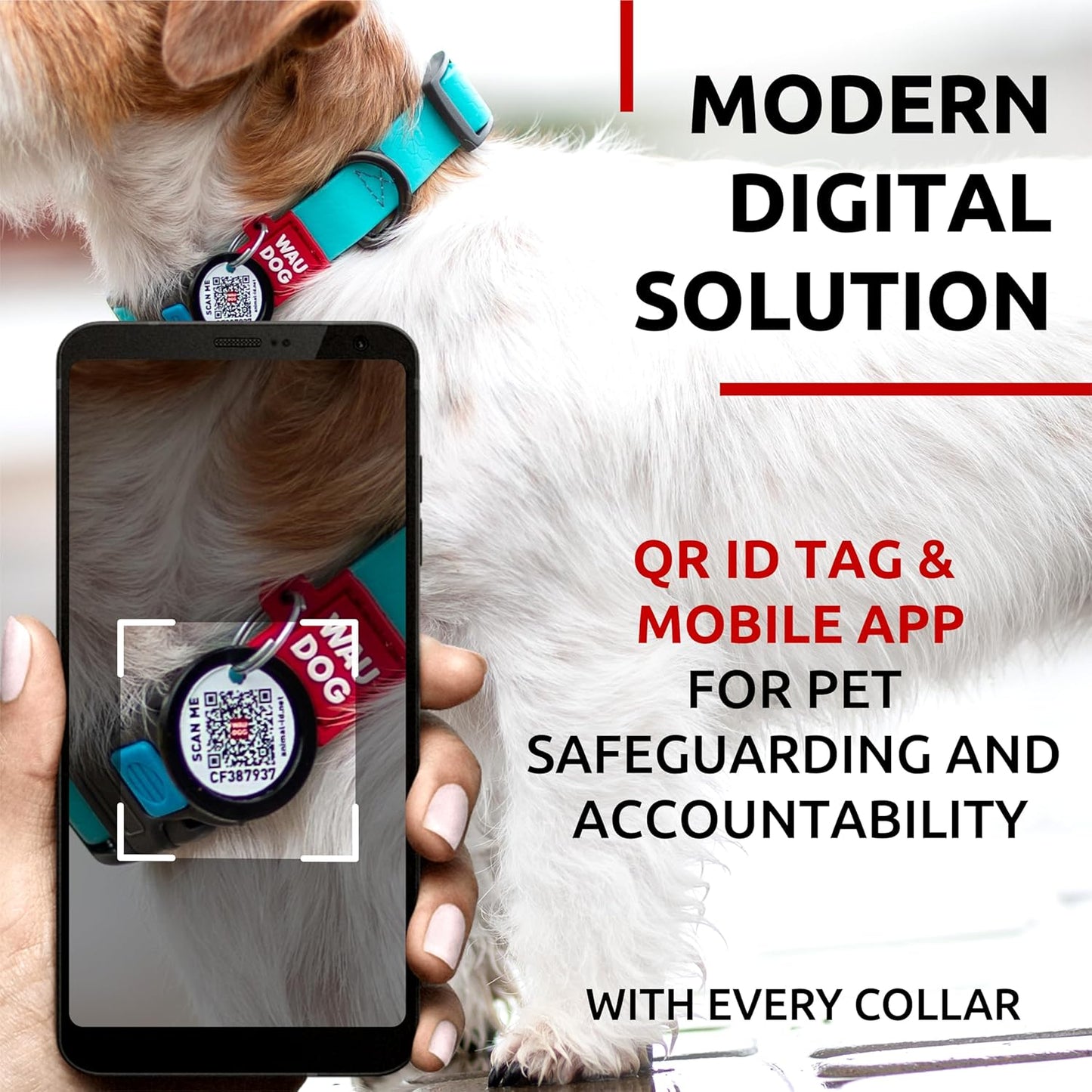 Waterproof Dog Collar - Adjustable Glow Dog Collar for Large Dogs, Small and Medium Dogs - Heavy Duty Dog Collars with Durable Metal Clasp and QR Dog Tag - Glow in The Dark Dog Collars - PuriLite
