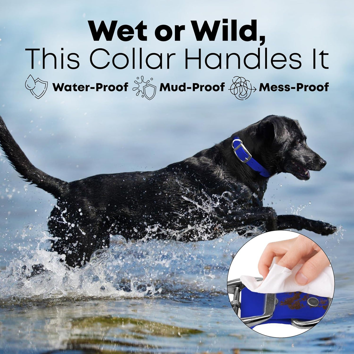 Regal Dog Products Medium Orange Dog Collar with Heavy Duty Double Buckle & D Ring | Vinyl Coated, Custom Fit, Adjustable Biothane Dog Collar Chew Resistant Waterproof Center-Ring Collar for Dogs - PuriLite