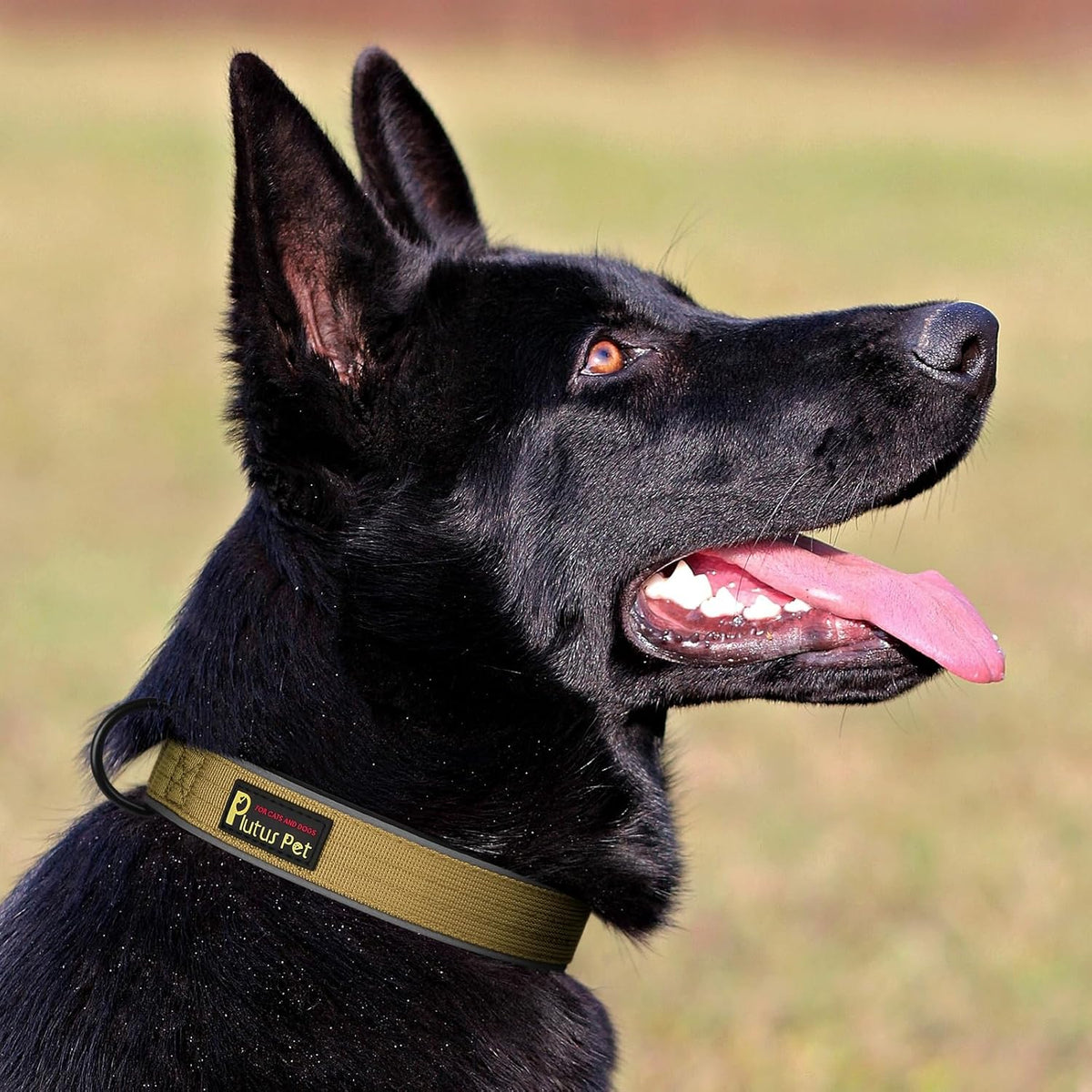 Plutus Pet Tactical Dog Collar, Reflective, Adjustable Heavy Duty Dog Collar, Soft Padded and Comfortable, for Small Medium and Large Dogs (Red, L) - PuriLite