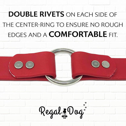 Regal Dog Products Medium Orange Dog Collar with Heavy Duty Double Buckle & D Ring | Vinyl Coated, Custom Fit, Adjustable Biothane Dog Collar Chew Resistant Waterproof Center-Ring Collar for Dogs - PuriLite