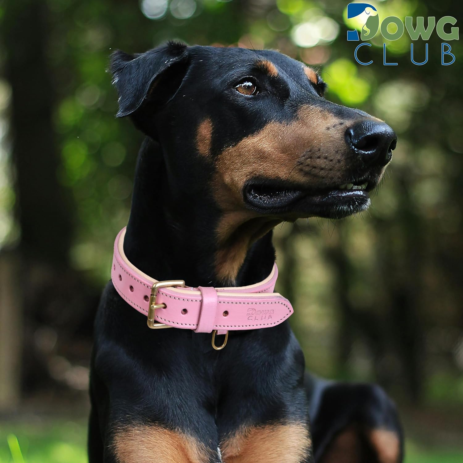 DowgClub | Genuine Leather Dog Collar | Full Grain, Heavy Duty | Comfortable, Strong | Best for Pups, Small, Medium & Large Breeds | Pink, Brown, Black, Tan - PuriLite