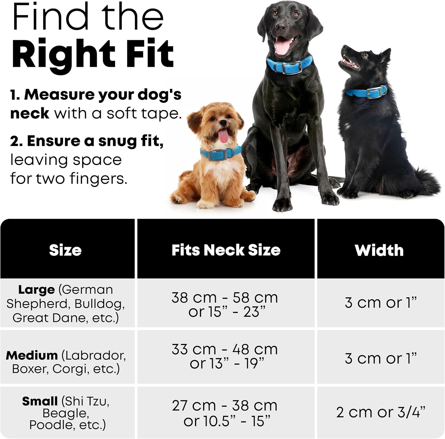 Regal Dog Products Medium Black Waterproof Dog Collar with Gold Buckle, Resilient and Durable Materials, Comfortable Design - for Small, Medium, and Large Breed Dogs - PuriLite