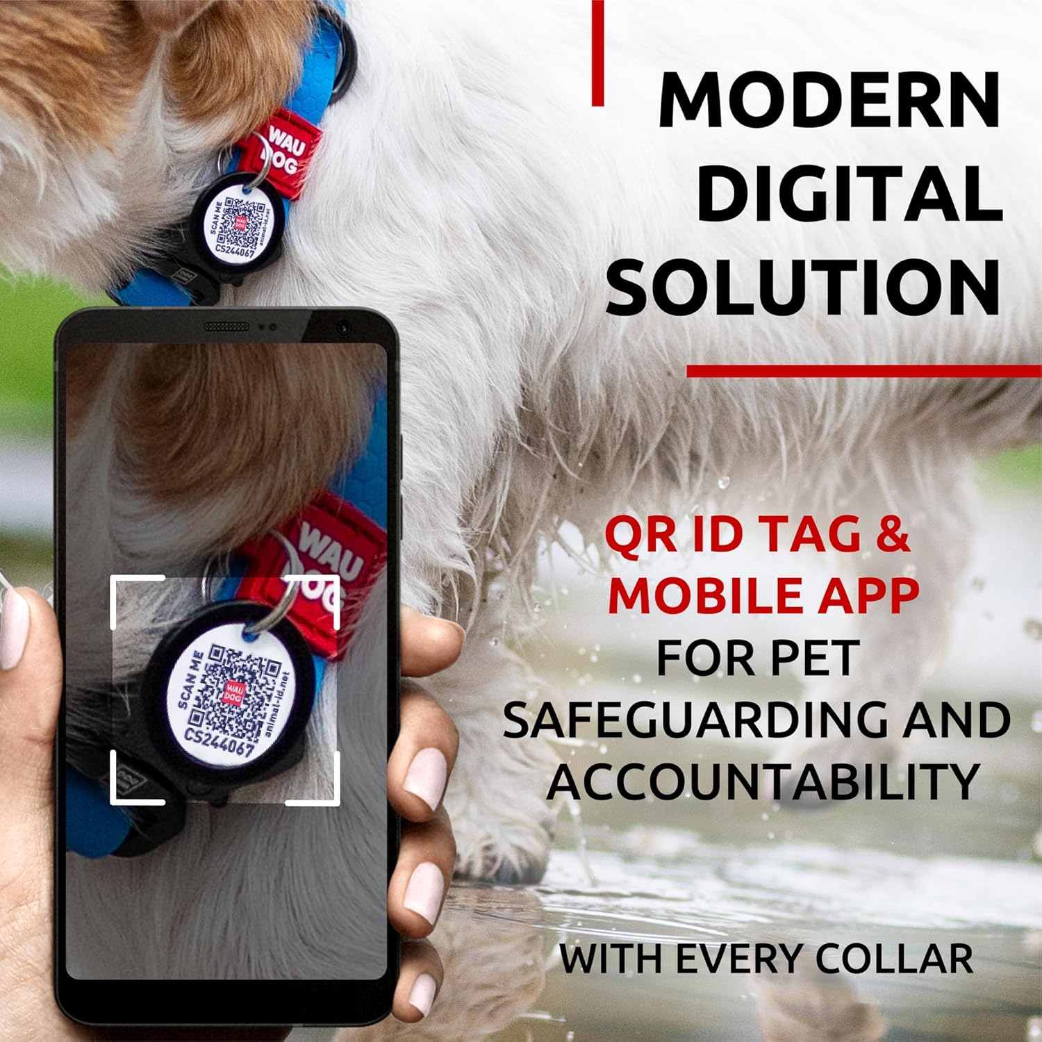 Waterproof Dog Collar - Adjustable Glow Dog Collar for Large Dogs, Small and Medium Dogs - Heavy Duty Dog Collars with Durable Metal Clasp and QR Dog Tag - Glow in The Dark Dog Collars - PuriLite