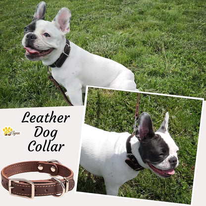 ADITYNA Heavy-Duty Leather Dog Collar for Medium Dogs - Soft and Strong, 100% Genuine Leather - Collier Pour Chien (Medium: Fit 13" - 20" Neck, Brown) - PuriLite