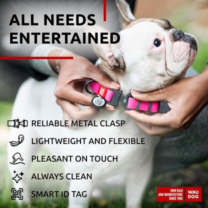 Waterproof Dog Collar - Adjustable Glow Dog Collar for Large Dogs, Small and Medium Dogs - Heavy Duty Dog Collars with Durable Metal Clasp and QR Dog Tag - Glow in The Dark Dog Collars - PuriLite