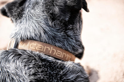 Carhartt Journeyman Dog Collar, Premium Rugged Construction Pet Collar - PuriLite