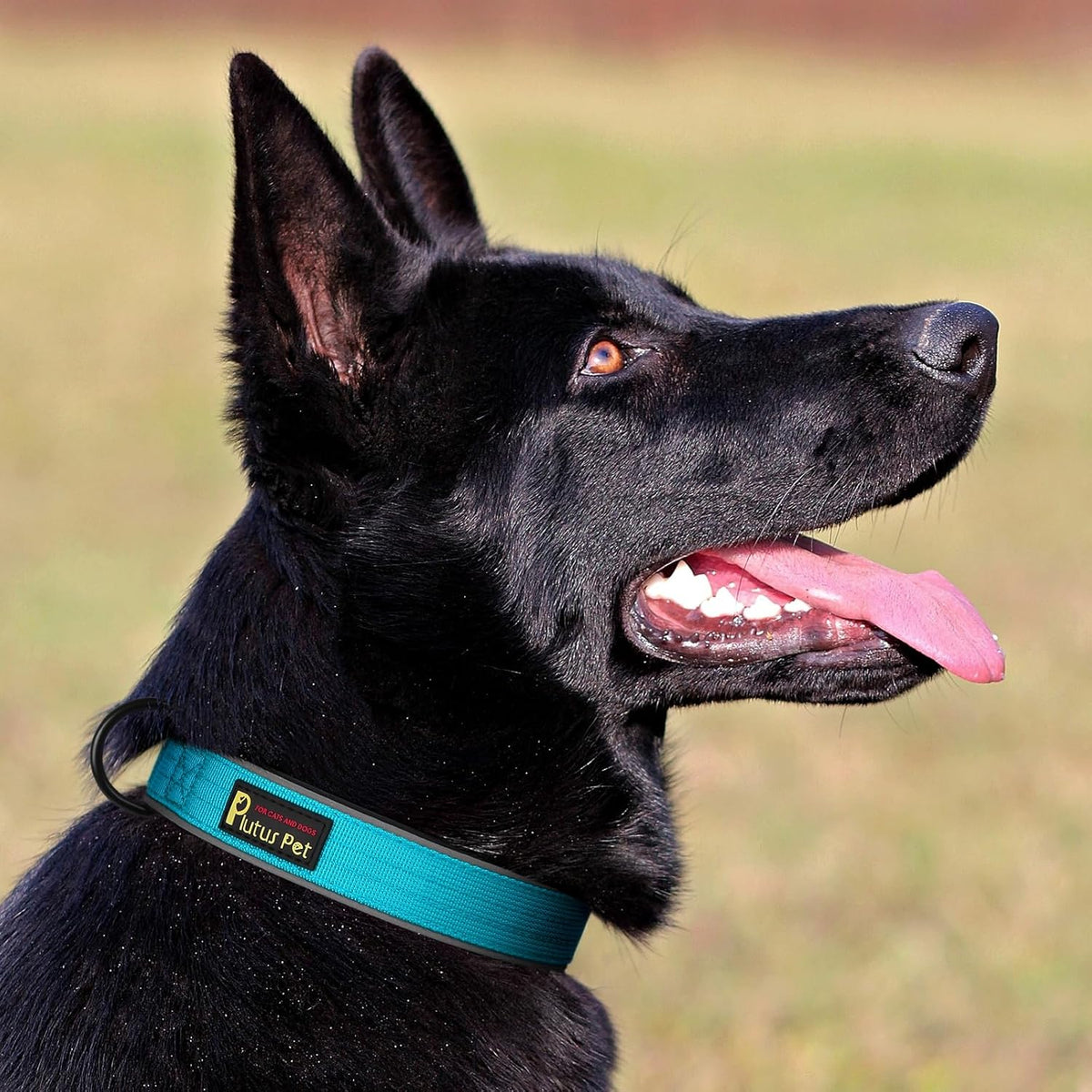 Plutus Pet Tactical Dog Collar, Reflective, Adjustable Heavy Duty Dog Collar, Soft Padded and Comfortable, for Small Medium and Large Dogs (Red, L) - PuriLite