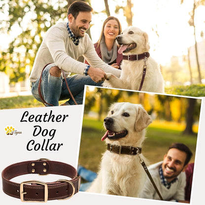 ADITYNA Heavy-Duty Leather Dog Collar for Medium Dogs - Soft and Strong, 100% Genuine Leather - Collier Pour Chien (Medium: Fit 13" - 20" Neck, Brown) - PuriLite