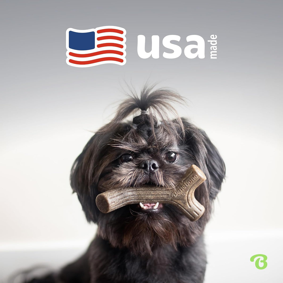 Benebone 4-Pack Durable Dog Chew Toys for Aggressive Chewers, Real Flavors, Made in USA, Medium - PuriLite