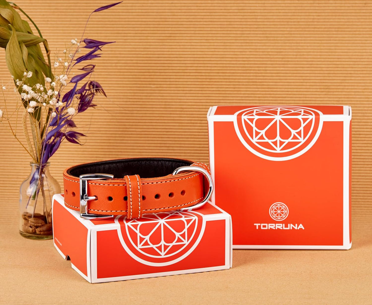 TORRUNA Soft Leather Dog Collar | Dog Collars for Small, Medium and Large Dogs | Durable Heavy Duty Dog Collars - PuriLite