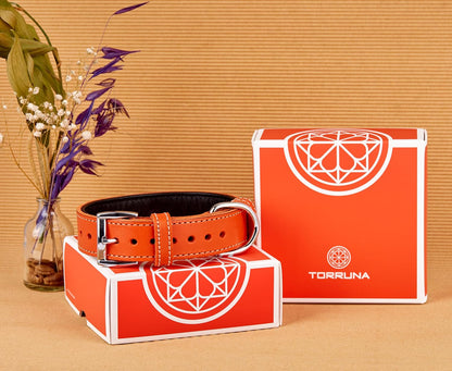 TORRUNA Soft Leather Dog Collar | Dog Collars for Small, Medium and Large Dogs | Durable Heavy Duty Dog Collars - PuriLite
