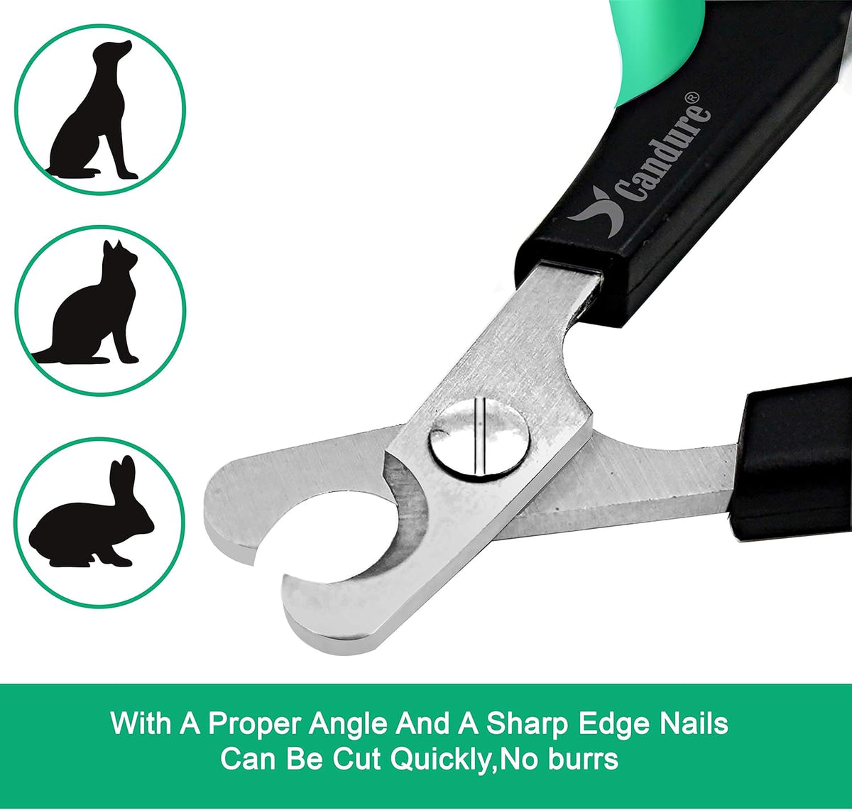 Candure Cat Nail Clippers Stainless Steel Cat Claw Trimmers for Rabbits,Guinea Pigs, Birds, Puppies, Kittens and Small Animals- Pet Nail Clippers for Professional and Home Use (Black) - PuriLite