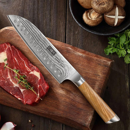 HOSHANHO Damascus Fillet Knife 7 Inch, Professional VG-10 Super Steel Boning Knife, Ultra Sharp Fish Knife with Ergonomic Handle - PuriLite