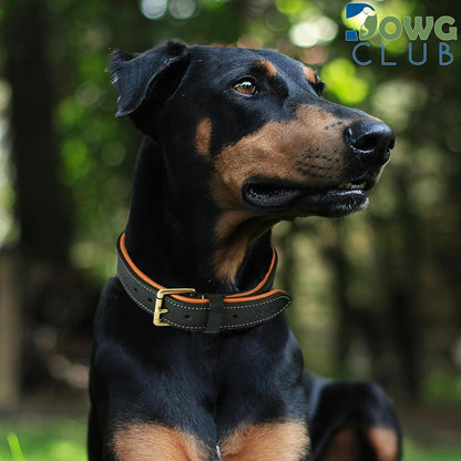 DowgClub | Genuine Leather Dog Collar | Full Grain, Heavy Duty | Comfortable, Strong | Best for Pups, Small, Medium & Large Breeds | Pink, Brown, Black, Tan - PuriLite