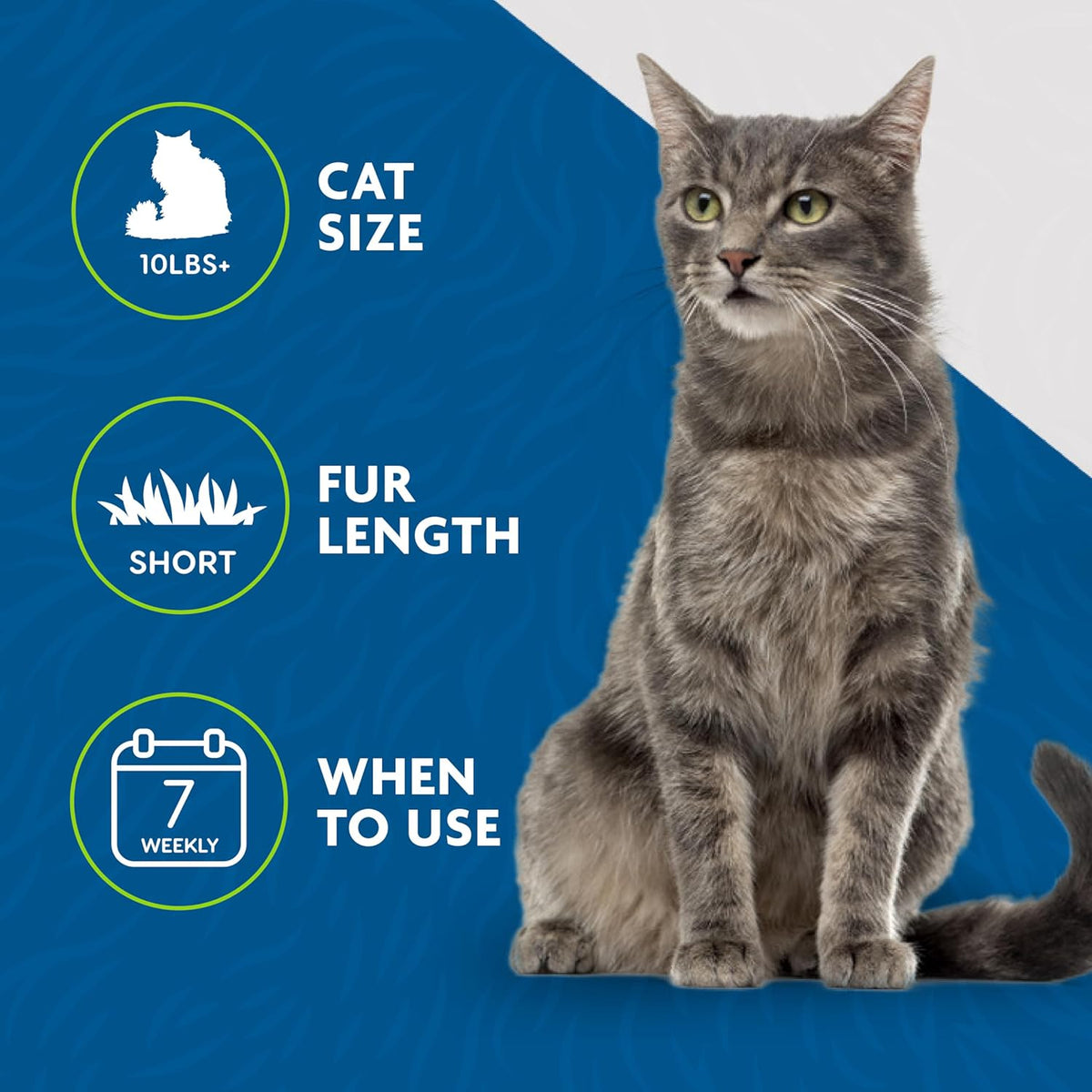 FURminator Short Hair deShedding Tool For Cats (Small) - PuriLite
