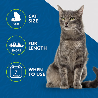 FURminator Short Hair deShedding Tool For Cats (Small) - PuriLite