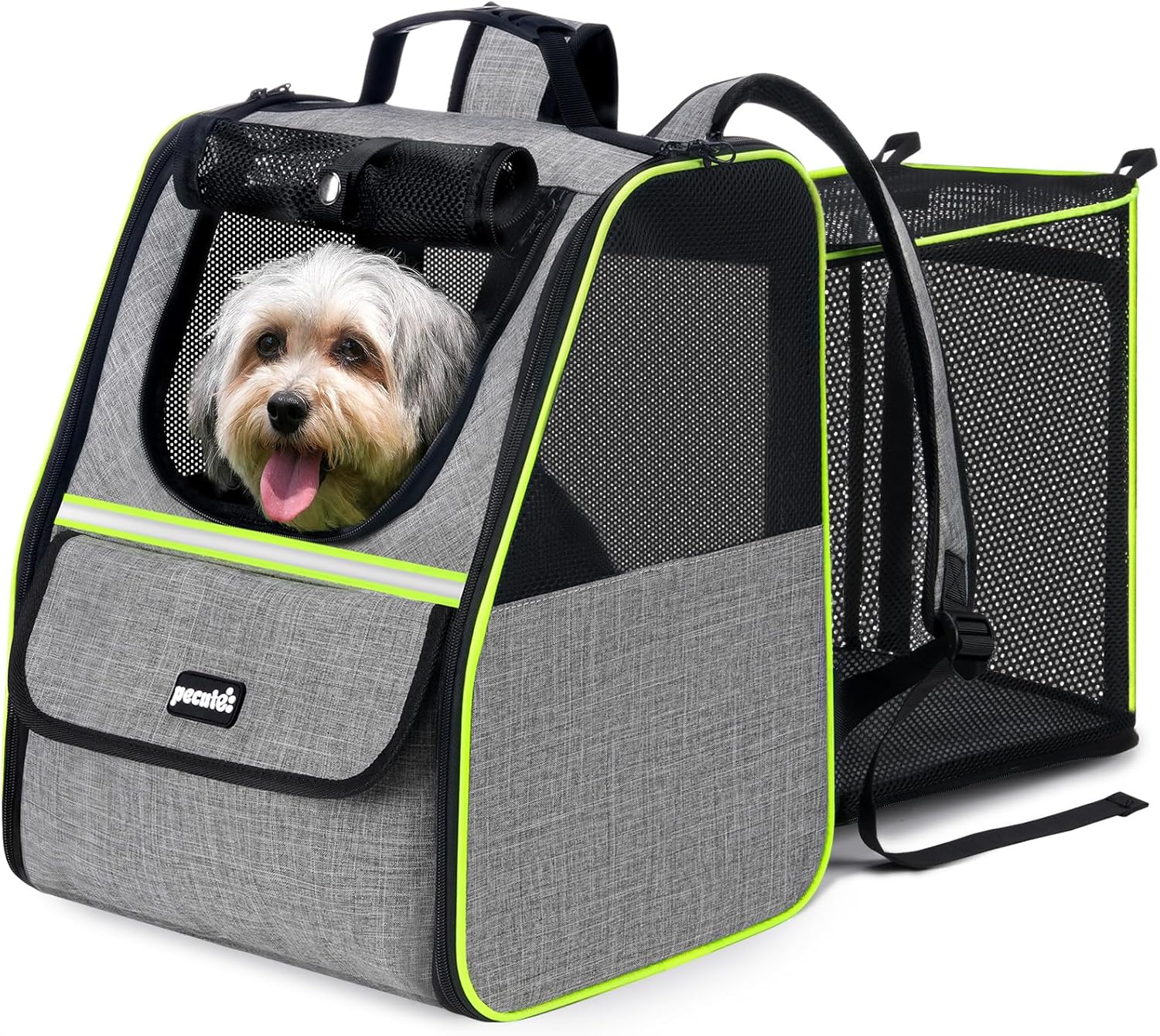 Pecute Expandable Cat Backpack Carrier, Small Dog Backpack Carrier, Pet Backpack Carriers for Cats Dogs Puppy Kitten, Cat Carriers Bag Carrying for Travel Hiking Bike Riding Walking Outdoor,Grey - PuriLite