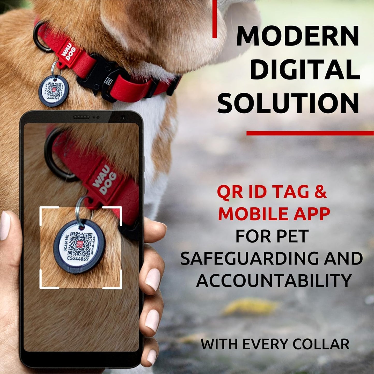 Waterproof Dog Collar - Adjustable Glow Dog Collar for Large Dogs, Small and Medium Dogs - Heavy Duty Dog Collars with Durable Metal Clasp and QR Dog Tag - Glow in The Dark Dog Collars - PuriLite