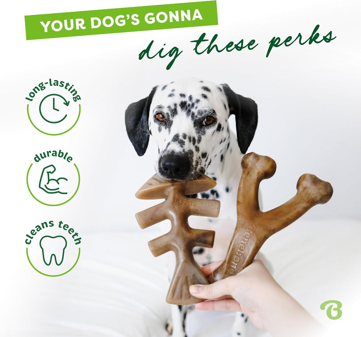 Benebone 4-Pack Durable Dog Chew Toys for Aggressive Chewers, Real Flavors, Made in USA, Medium - PuriLite