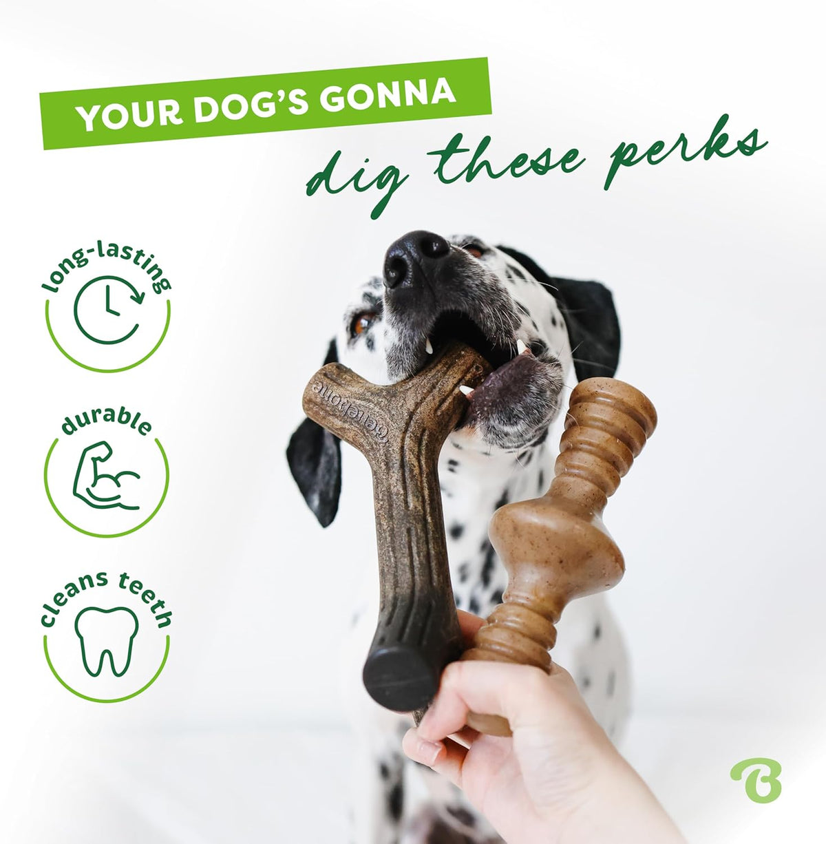 Benebone 4-Pack Durable Dog Chew Toys for Aggressive Chewers, Real Flavors, Made in USA, Medium - PuriLite
