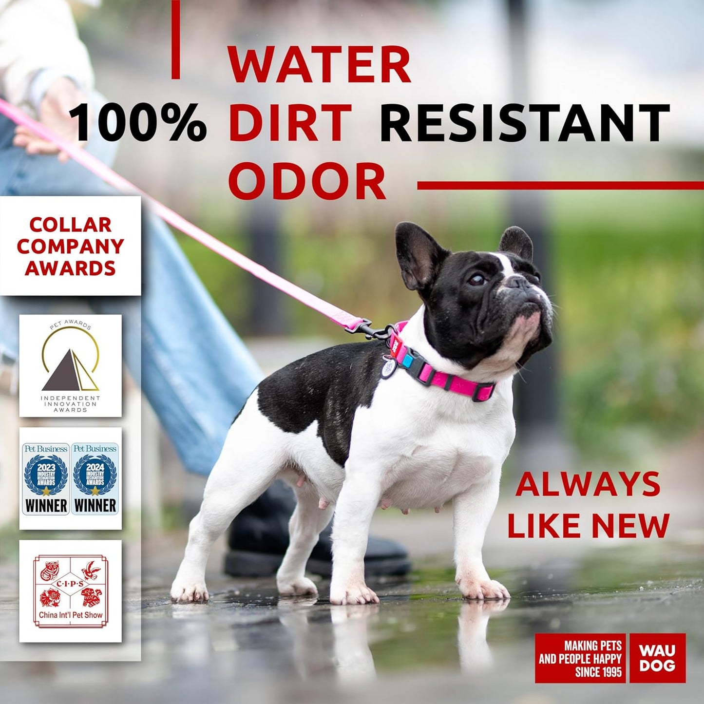 Waterproof Dog Collar - Adjustable Glow Dog Collar for Large Dogs, Small and Medium Dogs - Heavy Duty Dog Collars with Durable Metal Clasp and QR Dog Tag - Glow in The Dark Dog Collars - PuriLite