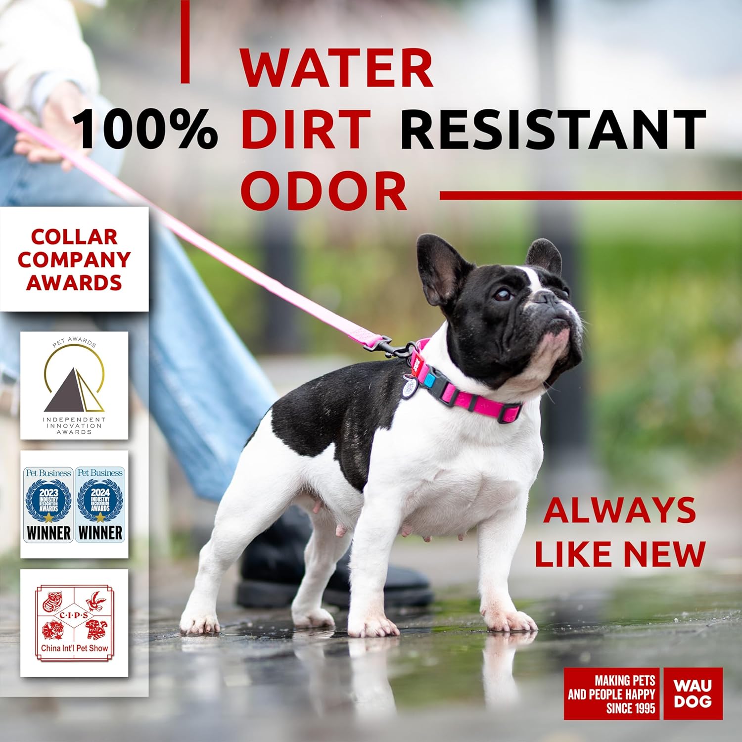 Waterproof Dog Collar - Adjustable Glow Dog Collar for Large Dogs, Small and Medium Dogs - Heavy Duty Dog Collars with Durable Metal Clasp and QR Dog Tag - Glow in The Dark Dog Collars - PuriLite
