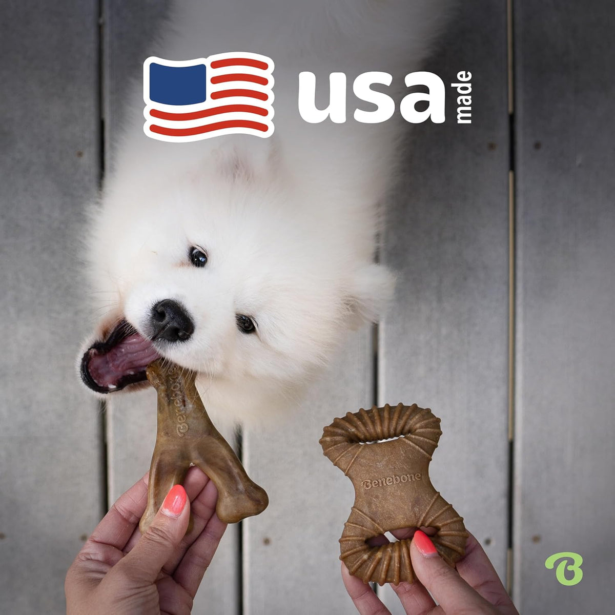 Benebone 4-Pack Durable Dog Chew Toys for Aggressive Chewers, Real Flavors, Made in USA, Medium - PuriLite