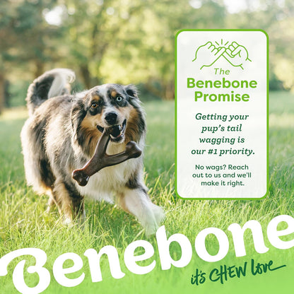 Benebone 4-Pack Durable Dog Chew Toys for Aggressive Chewers, Real Flavors, Made in USA, Medium - PuriLite