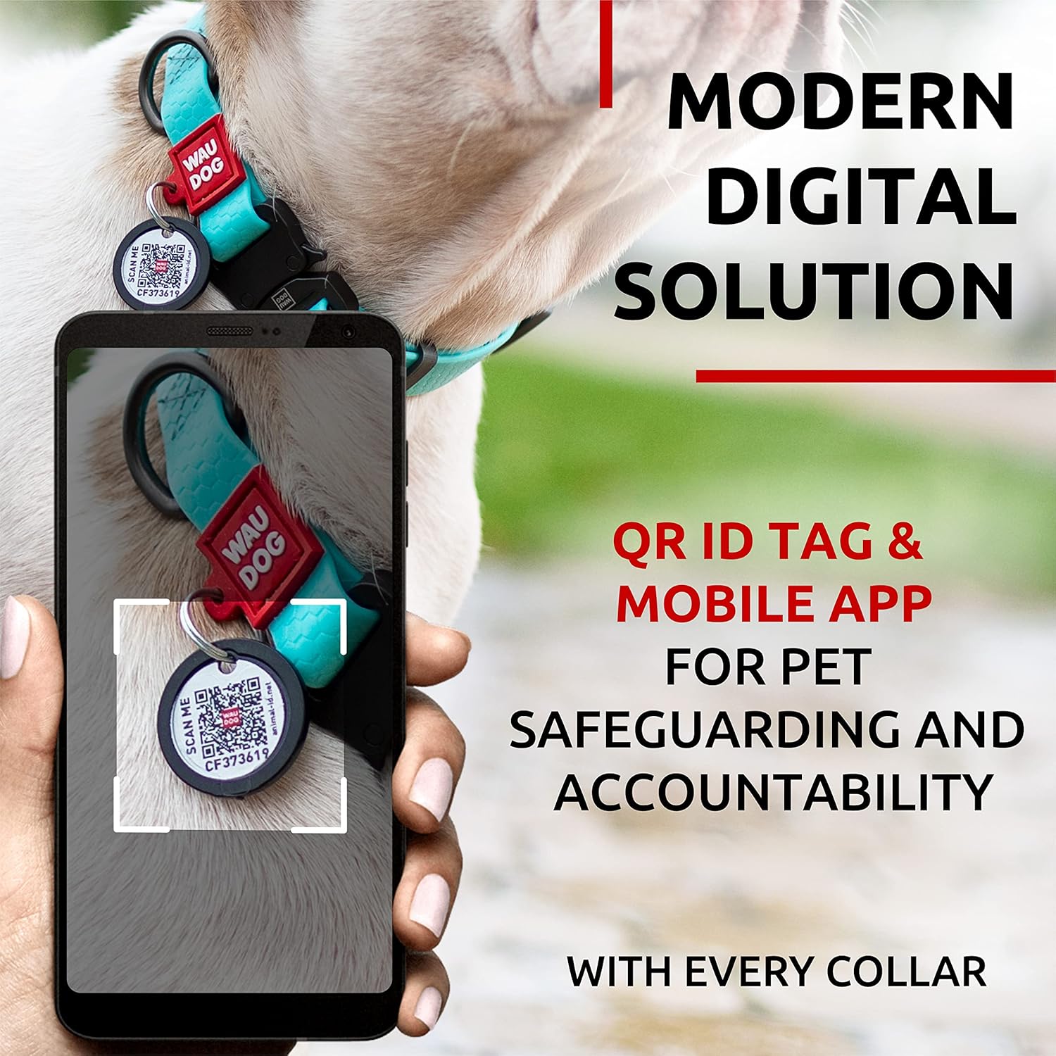 Waterproof Dog Collar - Adjustable Glow Dog Collar for Large Dogs, Small and Medium Dogs - Heavy Duty Dog Collars with Durable Metal Clasp and QR Dog Tag - Glow in The Dark Dog Collars - PuriLite