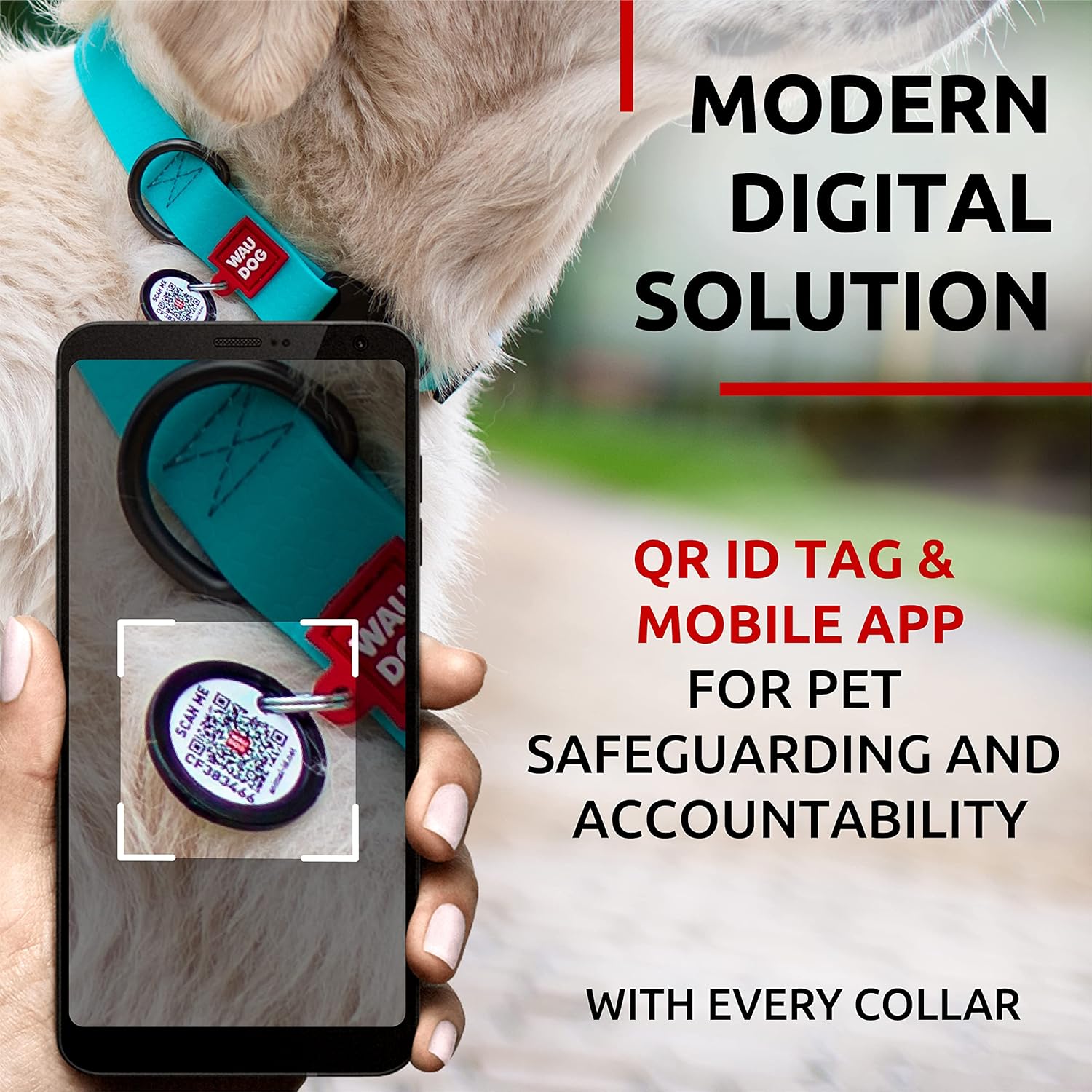 Waterproof Dog Collar - Adjustable Glow Dog Collar for Large Dogs, Small and Medium Dogs - Heavy Duty Dog Collars with Durable Metal Clasp and QR Dog Tag - Glow in The Dark Dog Collars - PuriLite