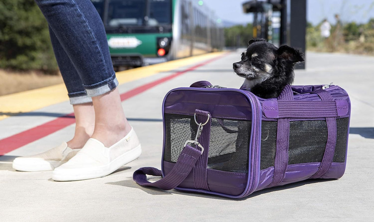 Sherpa Original Deluxe Travel Bag Pet Carrier, Airline Approved & Guaranteed-On-Board - Mesh Panels & Spring Frame, Locking Safety Zippers, Machine Washable Liner - Charcoal Gray, Medium - PuriLite